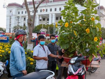 cho hoa Tet vang khach o Da Nang anh 5