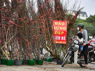 Dao, quat ha gia nhung ngay sat Tet anh 5