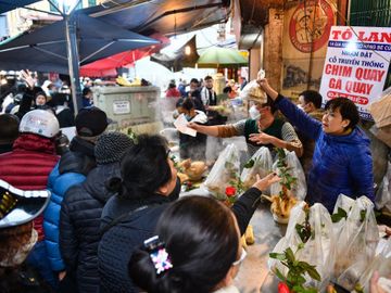 Ga ngam hoa hong cung giao thua dat khach anh 9