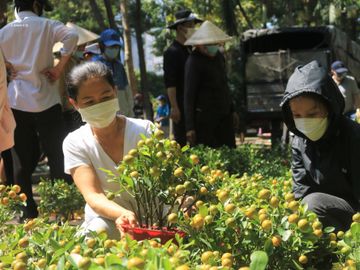 Giao thừa Nhâm Dần 2022: Không phải đập bỏ hoa giữa trung tâm TP.HCM, người bán mừng muốn khóc - ảnh 4