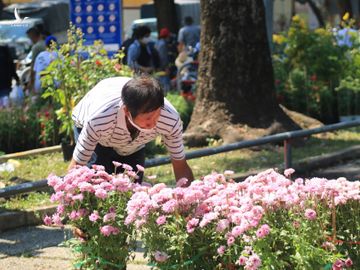 Giao thừa Nhâm Dần 2022: Không phải đập bỏ hoa giữa trung tâm TP.HCM, người bán mừng muốn khóc - ảnh 8