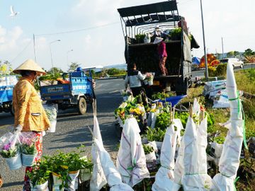 Dịch hạ nhiệt, việc kinh doanh tại làng hoa Sa Đéc dần phục hồi. Ảnh: Ngọc Tài