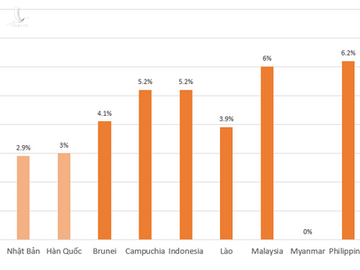 Tăng trưởng kinh tế 2022 của Việt Nam được dự báo sẽ vượt Singapore, Indonesia, đứng đầu Đông Nam Á - Ảnh 1.