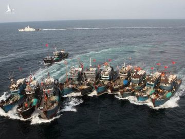 Chuyên gia: Báo động nguồn cá tại Biển Đông trước các đội tàu cá Trung Quốc - ảnh 2