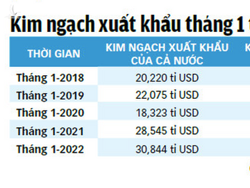 TP.HCM đã lấy lại vị trí đầu tàu kinh tế của cả nước - Ảnh 7.