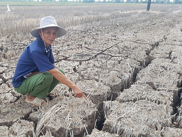 Mùa khô diễn ra khốc liệt trong một số năm gần đây tại đồng bằng sông Cửu Long.