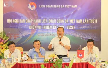 Không đại hội bất thường, VFF sẽ bầu Phó chủ tịch tài trợ vào cuối năm 2019