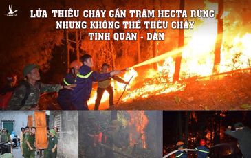 Hà Tĩnh: Lửa cướp gần trăm hecta rừng, nhưng không thể thiêu cháy tình quân dân