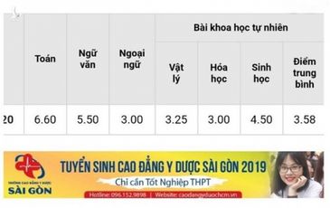 Xuất hiện trang web giả công bố điểm thi THPT quốc gia 2019