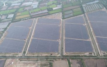 An Giang đưa vào hoạt động nhà máy điện Mặt Trời trị giá 3.000 tỷ đồng