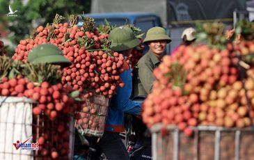 Trung Quốc thay đổi, Mỹ khó lường và Việt Nam rơi vào vòng xoáy