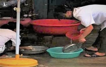 Không chỉ nhốt học sinh vào tủ, Maple Bear từng ‘dính phốt’ cho học sinh ăn cơm bẩn gần hai năm