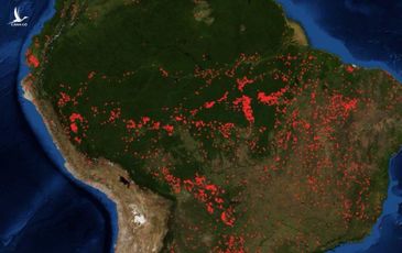Cháy rừng Amazon, G7 và câu hỏi về quản trị toàn cầu