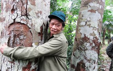 “Mãnh hổ” cả đời coi rừng lim như báu vật, quyết giữ cho bản làng