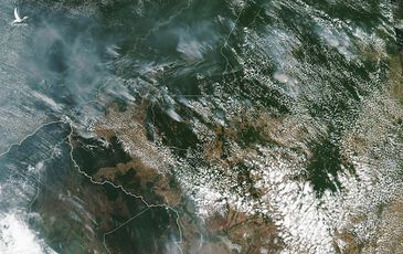 Rừng Amazon cháy lớn, khói phủ đen bầu trời nhiều thành phố Brazil