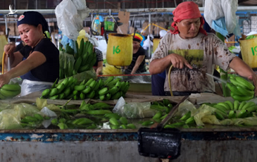 Chiến lược ‘ngoại giao chuối’ giúp Trung Quốc giành ảnh hưởng ở Philippines