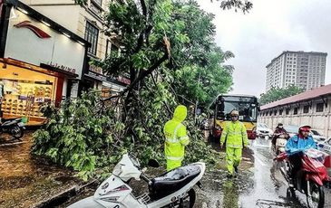 Công an Hà Nội căng mình khắc phục hậu quả mưa bão