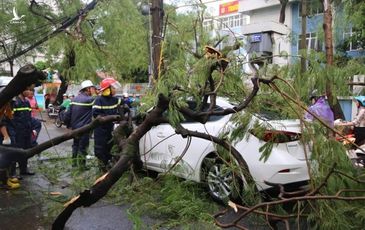 Xót xa thanh niên bị cây đè trong cơn giông khủng khiếp chiều nay