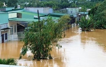 Lũ kinh hoàng, Bảo Lộc sơ tán khẩn cấp hàng trăm hộ dân