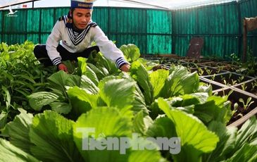 Lính trẻ Trường Sa