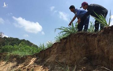 Cho phép khai thác cát trở lại trên sông Đồng Nai