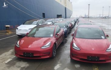 Trung Quốc miễn trừ 10% thuế mua hàng cho xe điện Tesla