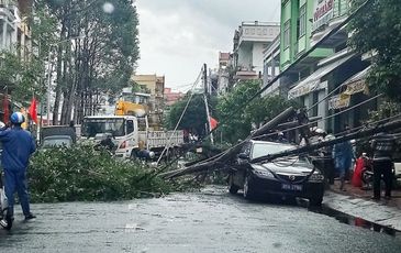 Trụ điện gãy đôi, đè trúng ô tô biển xanh đưa đón Bí thư Thành ủy Vị Thanh, Hậu Giang