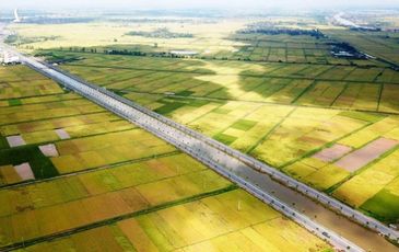 Hải Phòng đưa vào khai thác trục ‘đường đôi’ gần 1.300 tỉ đồng