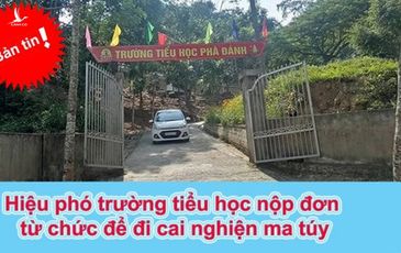 Hiệu phó trường tiểu học xin nghỉ việc đi cai nghiện