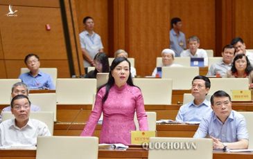 Miễn nhiệm bộ trưởng Nguyễn Thị Kim Tiến ngày 25-11, chưa phê chuẩn người thay