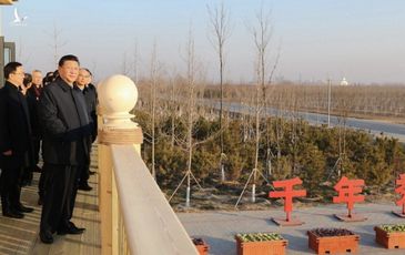 “Đại kế nghìn năm” của ông Tập ì ạch, quan chức Bắc Kinh vào cuộc