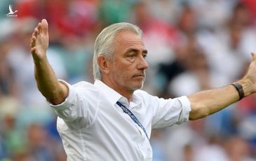 HLV Bert Van Marwijk nói vì không có VAR nên UAE mới thua Việt Nam