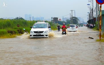 TP.HCM: Hà Lan đề xuất làm công trình chống ngập khoảng 1,266 tỷ đô