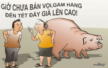 Khi rớt giá thì yêu cầu giải cứu, lúc giá cao thì giở thói găm hàng