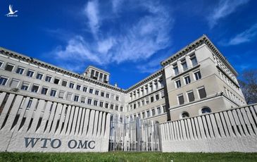 Chính quyền Trump làm tê liệt WTO giữa cơn bão thương chiến