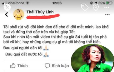 Thấy gì từ việc ca sĩ Thái Thùy Linh “vận động” cho Lê Đình Kình 