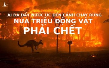 Nguyên nhân cháy rừng ở Úc, cửa địa ngục được mở từ đâu?