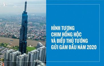 Hình tượng chim hồng hộc và điều Thủ tướng gửi gắm đầu năm 2020