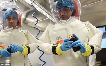 Giới khoa học từng cảnh báo nguy cơ virus “xổng” khỏi phòng thí nghiệm ở Vũ Hán