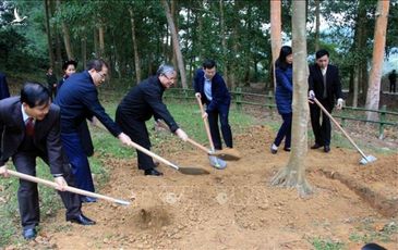 Đồng chí Trần Quốc Vượng dự Lễ phát động Tết trồng cây