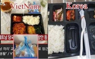 Vụ đoàn du khách Hàn Quốc bị cách ly ở Đà nẵng: Phản ứng bất ngờ của cư dân mạng Hàn Quốc