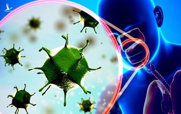 Các bác sĩ Trung Quốc cảnh báo sốc về việc tái nhiễm virus corona