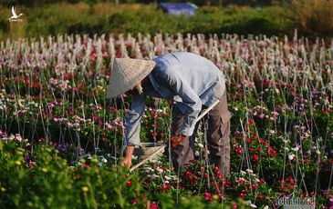 Để cho doanh nghiệp chúng tôi phát triển