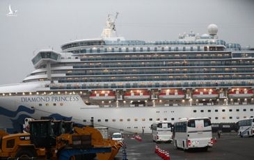 Thêm 99 ca nhiễm nCoV trên du thuyền Diamond Princess