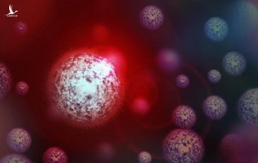 Phát hiện chủng virus bí ẩn mới ở Brazil