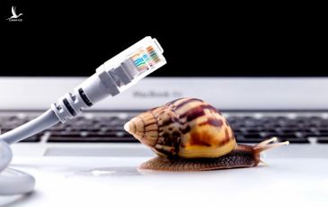 Đứt cáp quang khiến Internet tại VN bị chậm đến 27/2