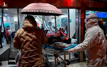 Thảm kịch ở Vũ Hán: Cái chết thương tâm của gia đình 4 người
