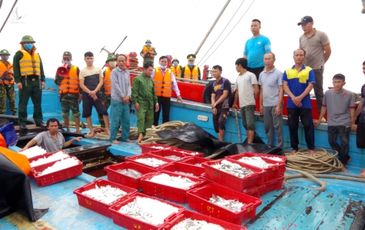 Nổ súng truy bắt 2 tàu cá đánh bắt hải sản bằng lưới kéo dã cào tận diệt