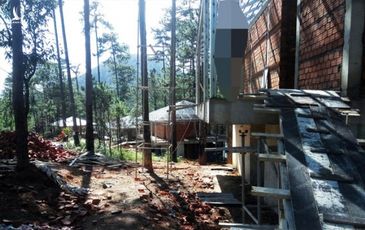‘Nuốt’ rừng phòng hộ, xây biệt thự sai phép