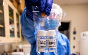 Tin vui về vaccine Covid-19